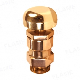 Air Release Valve